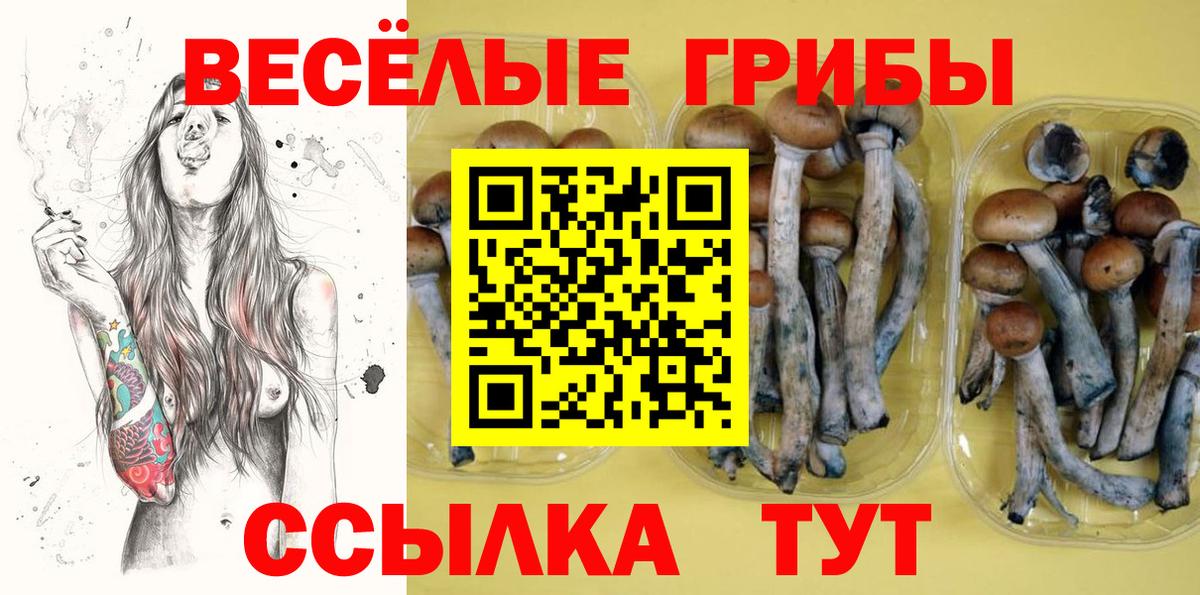 Галлюциногенные грибы мицелий  Галлюциногенные грибы прущие грибы  Вход с VPN  Саяногорск 